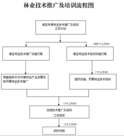 創新林業技術推廣培訓，助力林業現代化發展